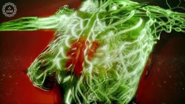 Heal Vagus Nerve Naturally | Relax and De-Stress | Improve Digestion Heart Rate and Respiratory Rat смотреть онлайн
