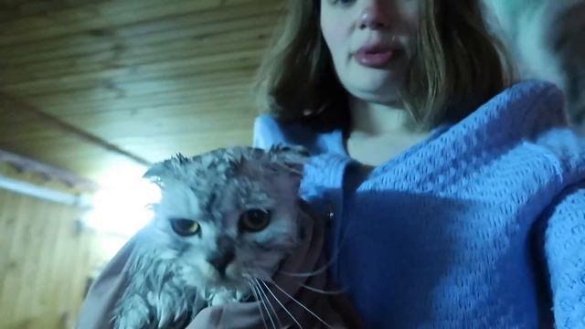 ВЛОГ: Купаем ВСЕХ котов! Кевину страшно смотреть онлайн