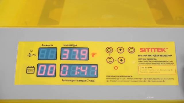 Инкубатор автоматический "SITITEK 96" смотреть онлайн
