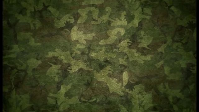 Военно-патриотическая игра 2015 смотреть онлайн