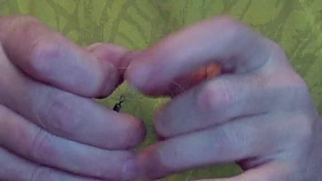 ©Часть 2 . Монтаж настроя , узлы ,поводки , для Тирольки . смотреть онлайн