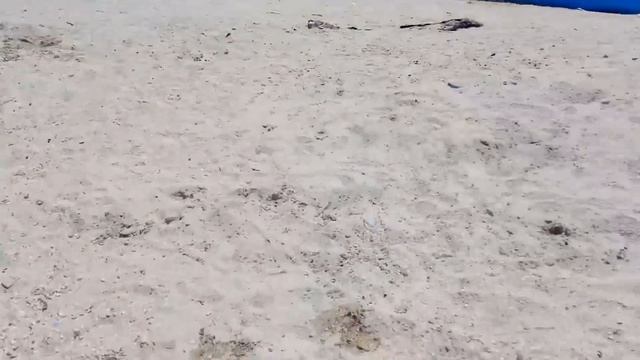 Из холодной Анапы на ласковое Азовское море 08.07.2018 смотреть онлайн