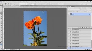 Выделение по цвету в фотошопе