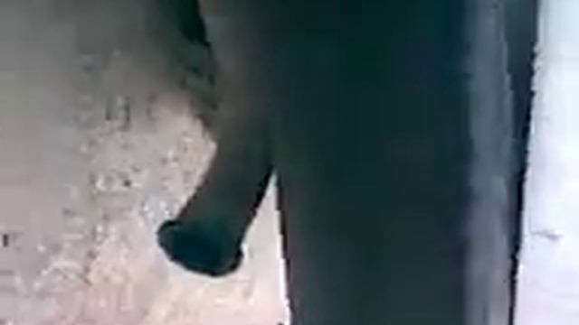 transit pistera смотреть онлайн