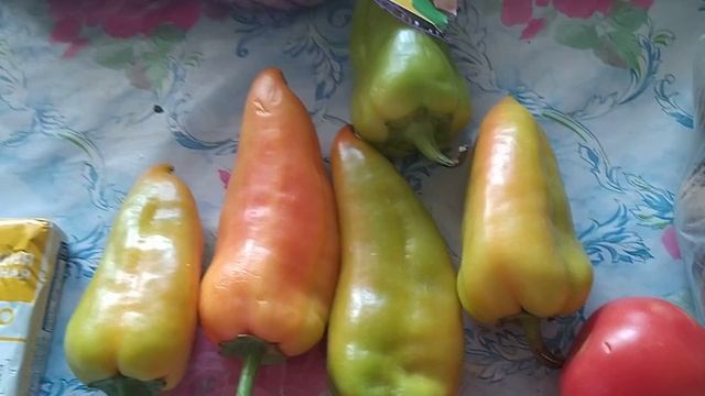 И З ПЯТЕРОЧКИ ПРИВЕЗЛИ ПРОДУКТЫ НА ДОМ ? смотреть онлайн