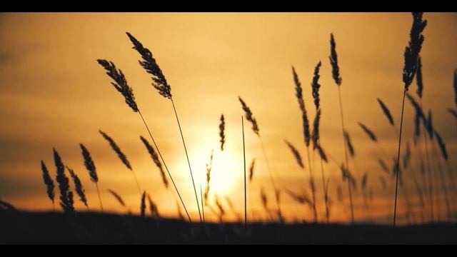 На кануне перед праздничком смотреть онлайн