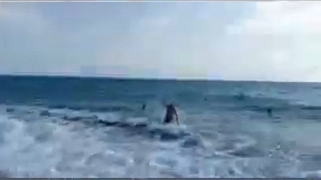 пляж Имеретинский второй и  первый/ олимпийский парк/  аттракцион виртуальной  реальности