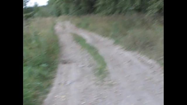 Небольшая вылазка в лес. Часть Первая. "Первый блин комом" смотреть онлайн