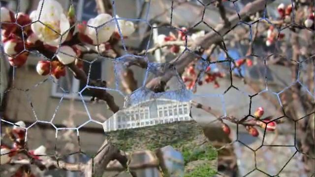 Весна в городе......Белгород201.)))