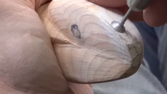 How To Carve a Rattlesnake Walking Cane смотреть онлайн