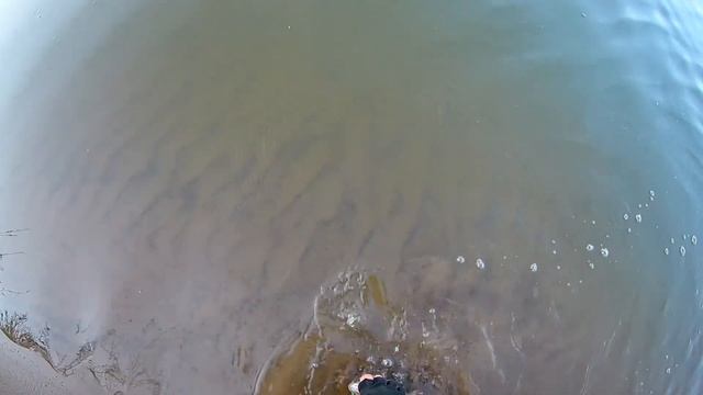 РЫБАЛКА НА КАРОЛИНУ И ОТВОДНОЙ ПОВОДОК смотреть онлайн
