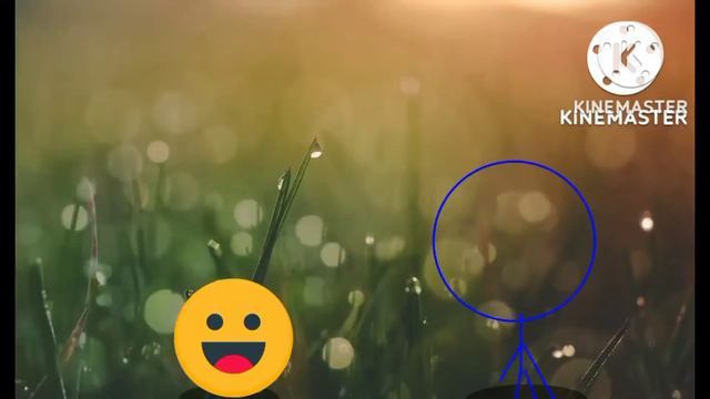 скис серия "игра в звезды" за 10 секунд смотреть онлайн