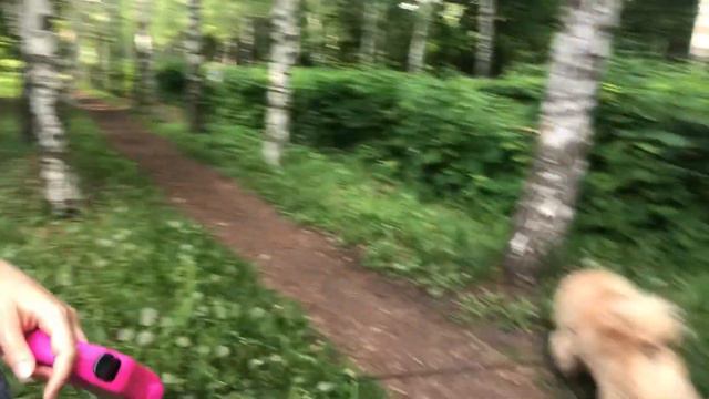 VLOG / Выпускной из детского сада / Игры с папой смотреть онлайн