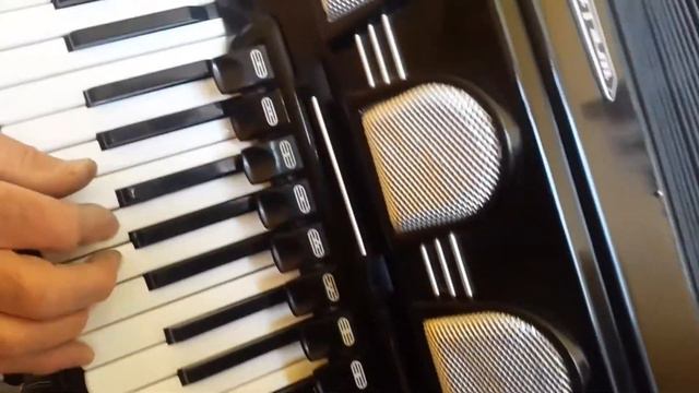 Weltmeister Stella 120 Bass LMMH Accordion Akkordeon Fisarmonica Black AC403 (2) смотреть онлайн