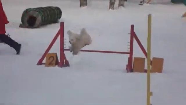 Настя и Бен смотреть онлайн