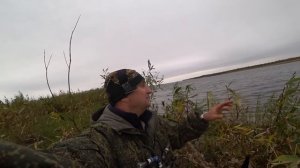 ОХОТА НА ГУСЯ ОСЕНЬ 2023 / Волшебные чучела и гуси садятся на голову.