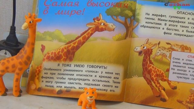 Обзор журнала "Животные дикой природы" №2 животные саванны Жираф. ДеАгостини (DeAgostini) смотреть онлайн