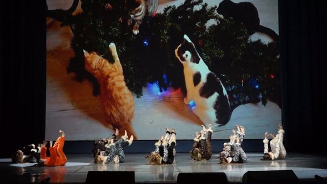 16 Обыкновенный рыжий кот.Студия современного танца " Tap & Jazz" смотреть онлайн