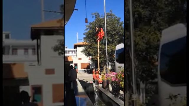 танец дракона во Вьетнаме на новый год смотреть онлайн