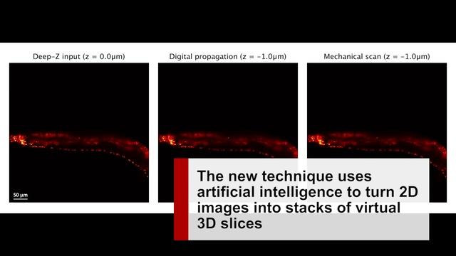 Researchers convert 2D images into 3D using deep learning смотреть онлайн