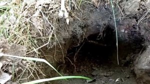 ремонт косы. пресс пр 120м в работе.