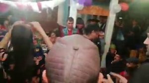 Туй дар Помир & Помири сур & Вахон