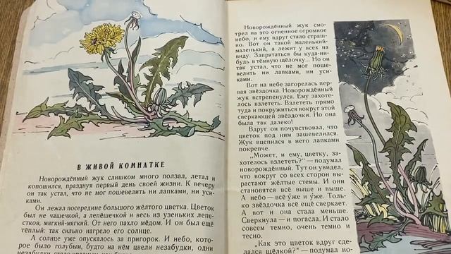 Книжки и картинки. Иллюстраторы детских книг.  В. Алфеевский