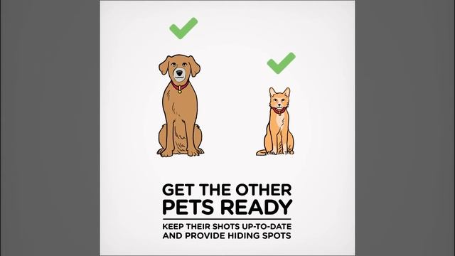 Hill’s How Tos: Welcome Your New Pet Home! смотреть онлайн