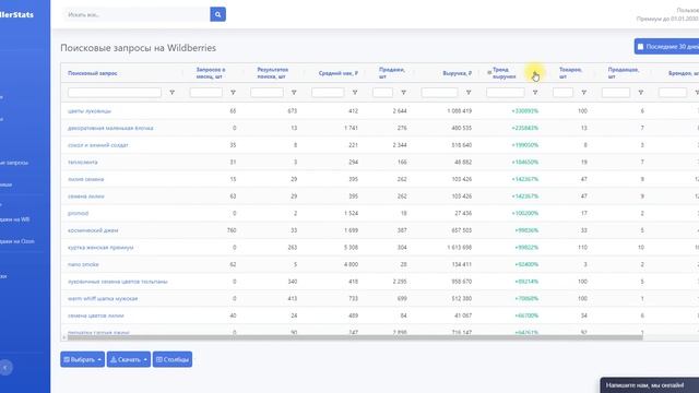 SellerStats - Поисковые запросы смотреть онлайн