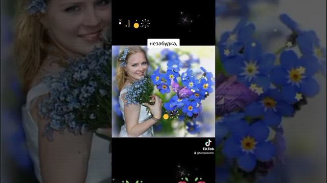 Незабудка, смотреть онлайн