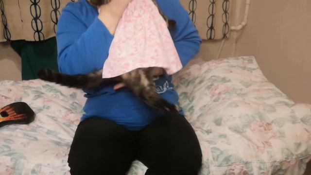 Сильный мороз. Мурка играет на гитаре. смотреть онлайн