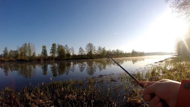 Ловля хищника на спиннинг с берега в мае. Щука просыпается после нереста. смотреть онлайн