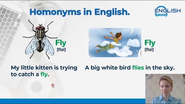 Омонимы (homonyms) в английском языке смотреть онлайн