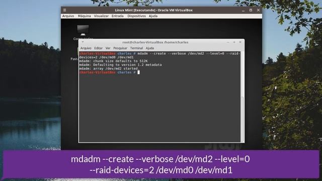 Ambiente de redundância RAID 10 смотреть онлайн
