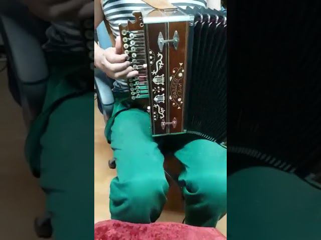 Гармонь Фадеева.соль# А.Чечёткин - Сормач смотреть онлайн