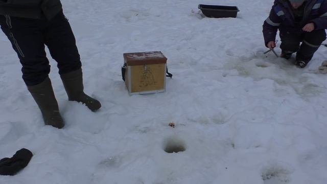 КЛЕВ ОГРОМНОЙ ПЛОТВЫ ! ЯМАЛ ! ПЕРВАЯ ЧАСТЬ! смотреть онлайн