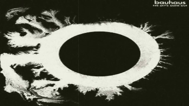 Bauhaus // Silent Hedges 