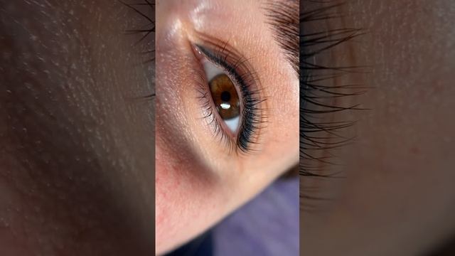 ламинирование ресниц ДО/ПОСЛЕ #ламинированиересниц #ламинирование #владивосток #обучение #ресницы смотреть онлайн