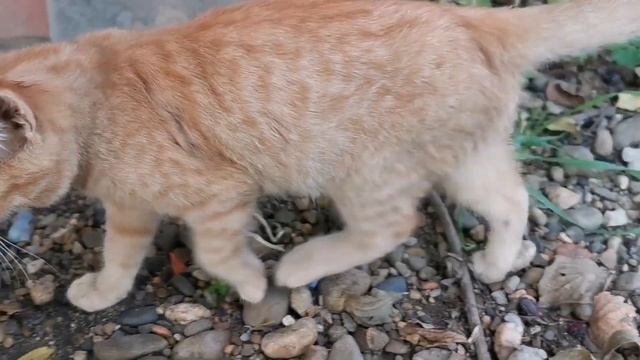 ЗАВТРАК ? ОБЕД ? И МАКИЯЖ ? ВЛОГ ✅ ХУТОРЯНКА ? смотреть онлайн