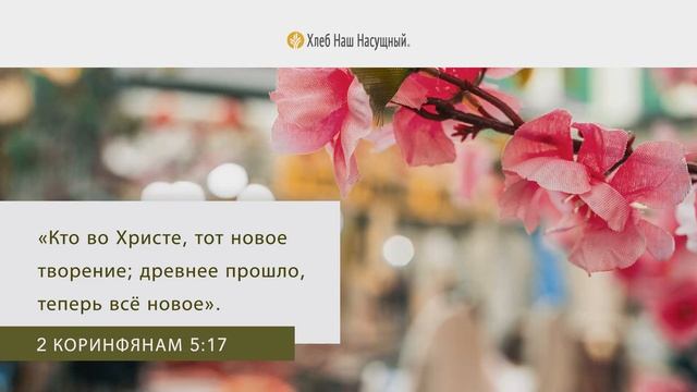 Новое начало | Ежедневное христианское чтение | 3 февраля 2022 смотреть онлайн