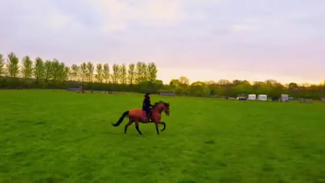 Eros filmed by drone at Sprats Water смотреть онлайн