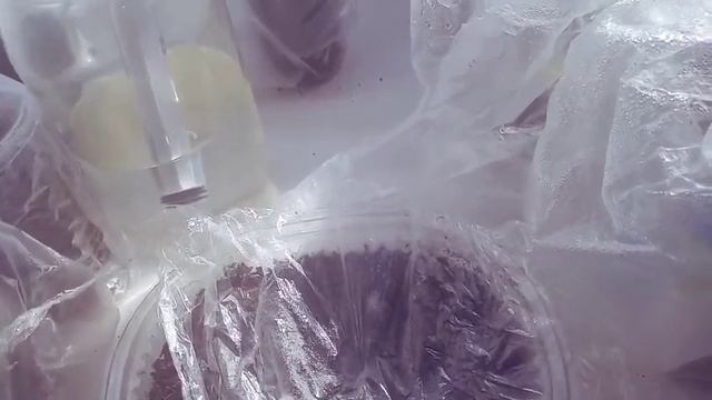 Лайфхак////Гүлдер ектім////Капуста ерте жейтін болдым/// смотреть онлайн