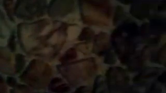 камни на стене смотреть онлайн