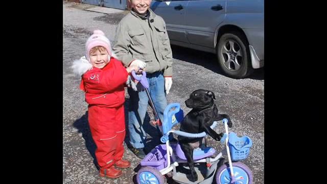 карбошки смотреть онлайн