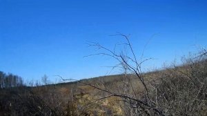 ВЕЗДЕХОД « КАРАКАТ « ПО ТОРФЯНОМУ БОЛОТУ. НА ОзЕрО за КАРАСЕМ.