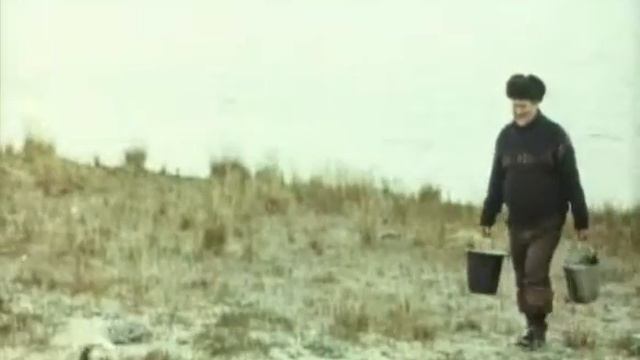 В объективе животные. Императорская мантия и её носитель 1986 г. смотреть онлайн