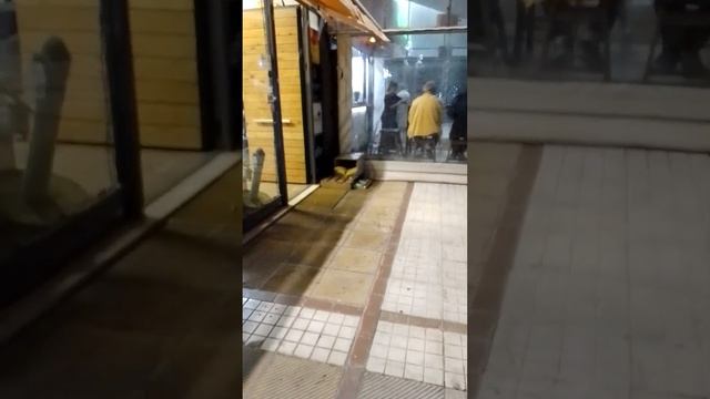 Какая встреча ! Лола всегда возле парикмахерской. What a meeting ! Lola is near the barber shop. смотреть онлайн