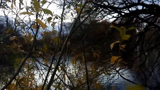 VID 20211018 170145 Вечер на пустыре. 1932 (Вл. Набоков)... Павел Васильев Лахтинский смотреть онлайн