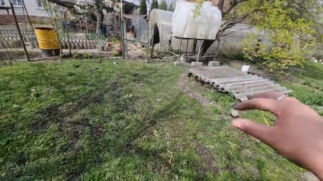 20 апреля 2023 г.влог.высадили помидоры и огурцы в теплицу. смотреть онлайн