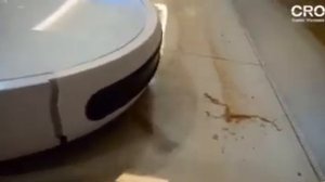 Puppyoo R30CYCLONE Robot Vacuum Cleaner with Sweeping and Mopping Function